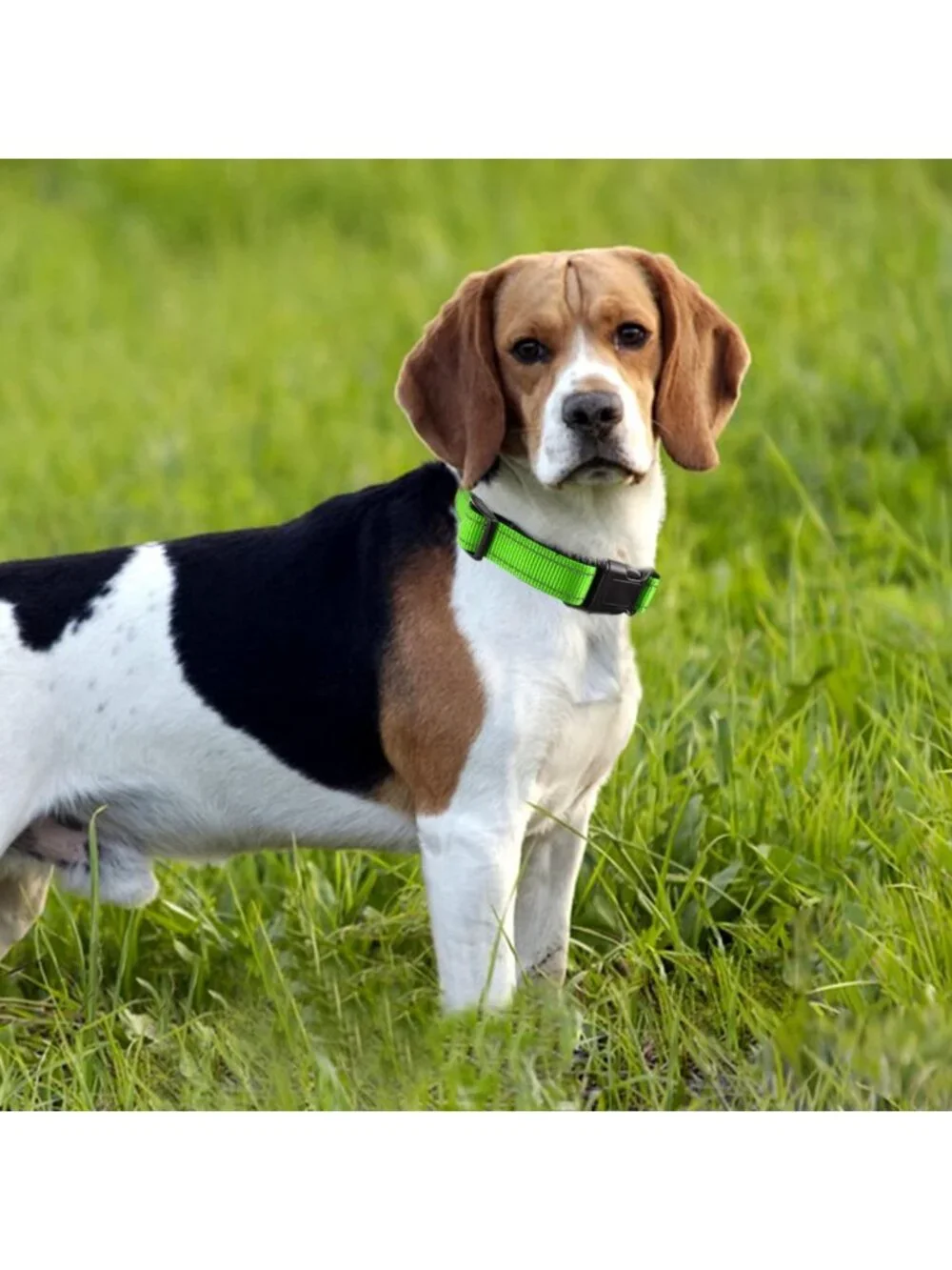 Adjustable Soft Dog Harness with Handle, Reflective Padded Collar & 6FT Leash